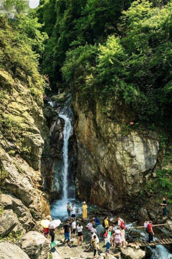 低温持续:水产养殖有序应对 市场供应量足价稳